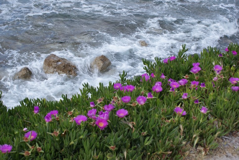 Wybrzeże w drodze z Chanii do Agia Marina.