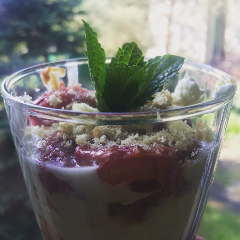 Tiramisu z rabarbarem